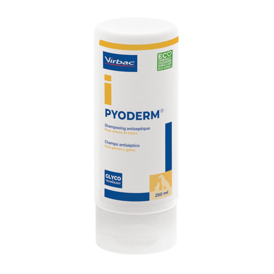 250 ml Virbac Pyoderm Champ&uacute; Antis&eacute;ptico Dermatol&oacute;gico para perros, , large Imagen numero 1