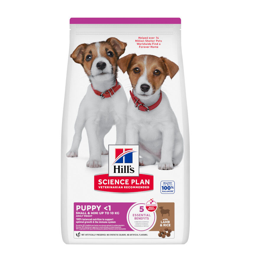 6 kg Hill's Science Plan Puppy Small y mini Cordero y arroz para perros, , large Imagen numero 1