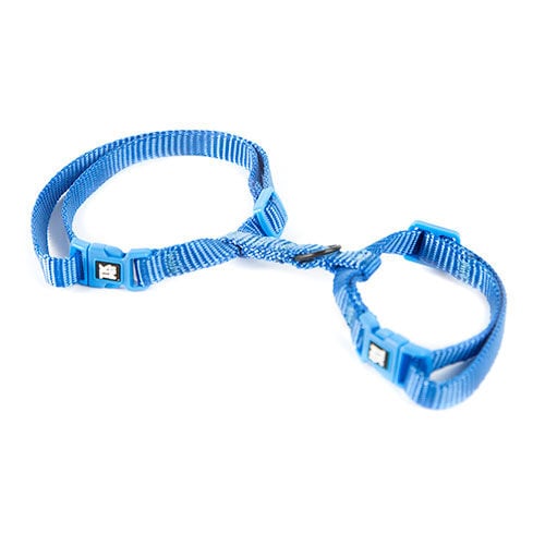 TK-Pet Classic Nylon arn&eacute;s gatos azul ajustable Imagen numero 1
