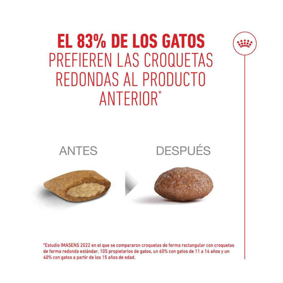 4 kg Royal Canin Ageing +15 pienso para gato senior&nbsp;, , large indicador imagen numero 10