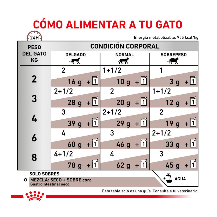12 sobres x 85 g Royal Canin Veterinary Gastrointestinal sobre en salsa para gatos, , large Imagen numero 7