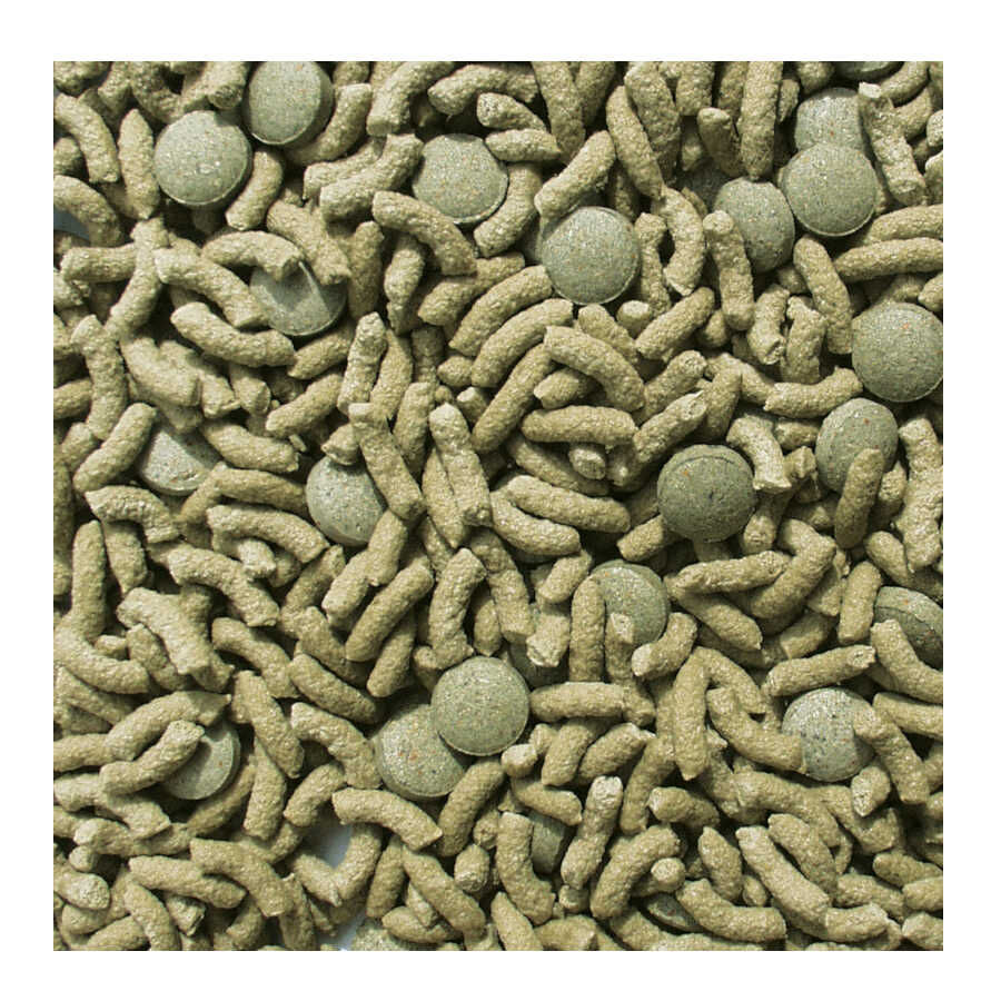 Sera Raffy Vital Comida para reptiles herb&iacute;voros, , large indicador imagen numero 2