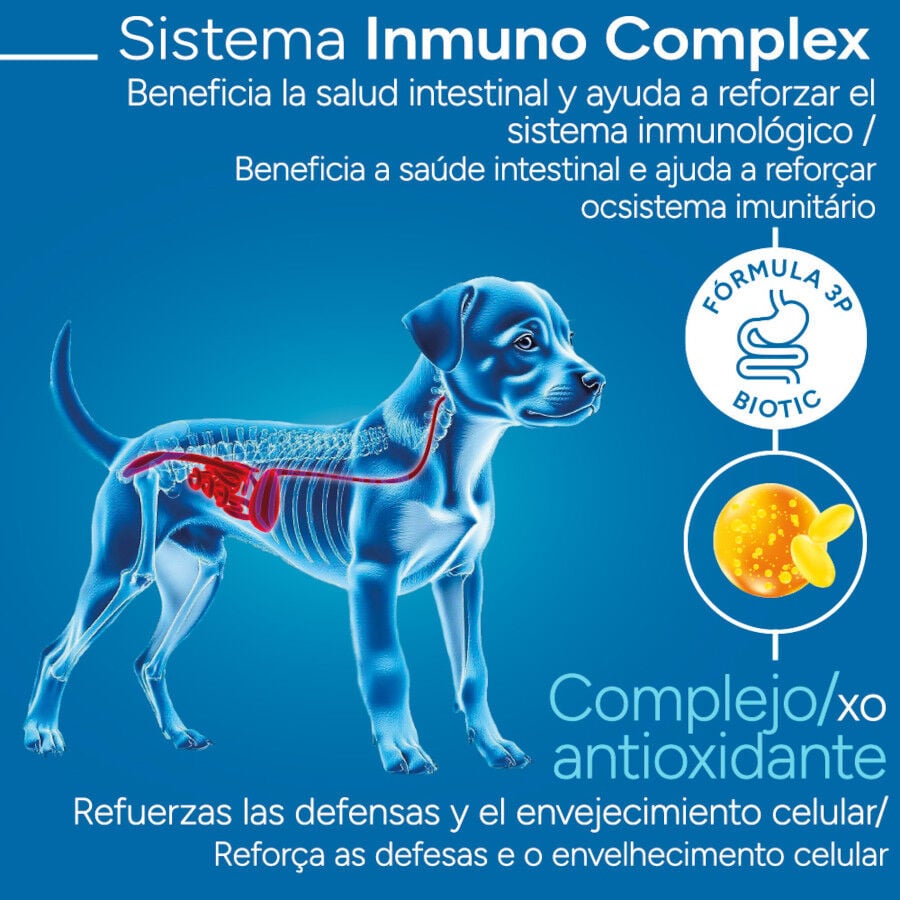 3 kg Criadores Cient&iacute;fico Mini Pienso Pollo para cachorros, , large Imagen numero 3