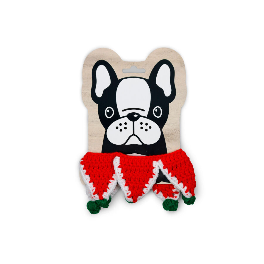 Wonder Christmas Collar Tejido para perros, , large Imagen numero 1