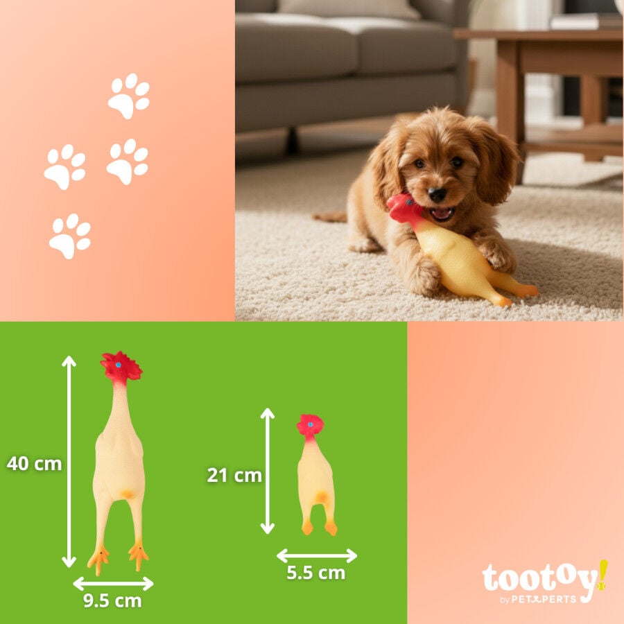 Tootoy! Juguete Pollo Mordedor con Sonido para perros, , large Imagen numero 5