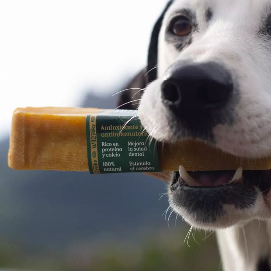 1 barrita Wild Balance Yaky Barrita Mordedora con C&uacute;rcuma para perros grandes, , large indicador imagen numero 2
