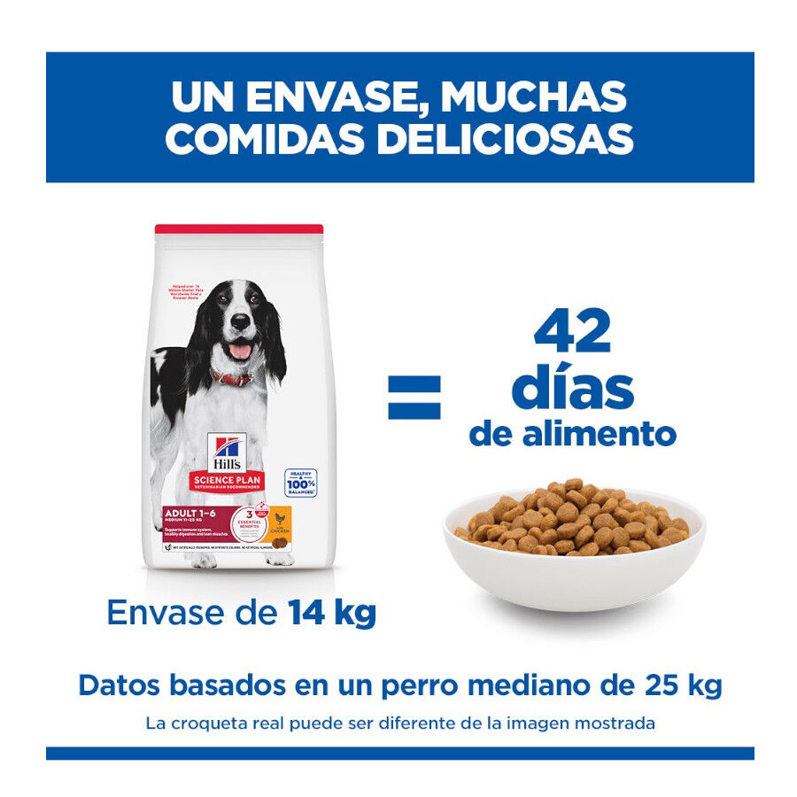 14 kg Hill's Science Plan Adult Medium Pollo pienso para perros, , large indicador imagen numero 6