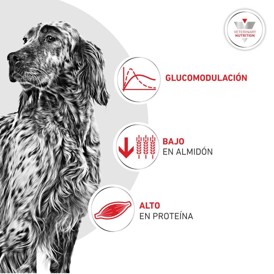 12 kg Royal Canin Veterinary Diabetic pienso para perros, , large indicador imagen numero 4