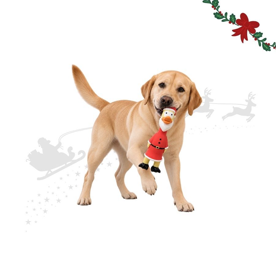 Wonder Christmas Pollo L&aacute;tex Juguete para perros, , large Imagen numero 1