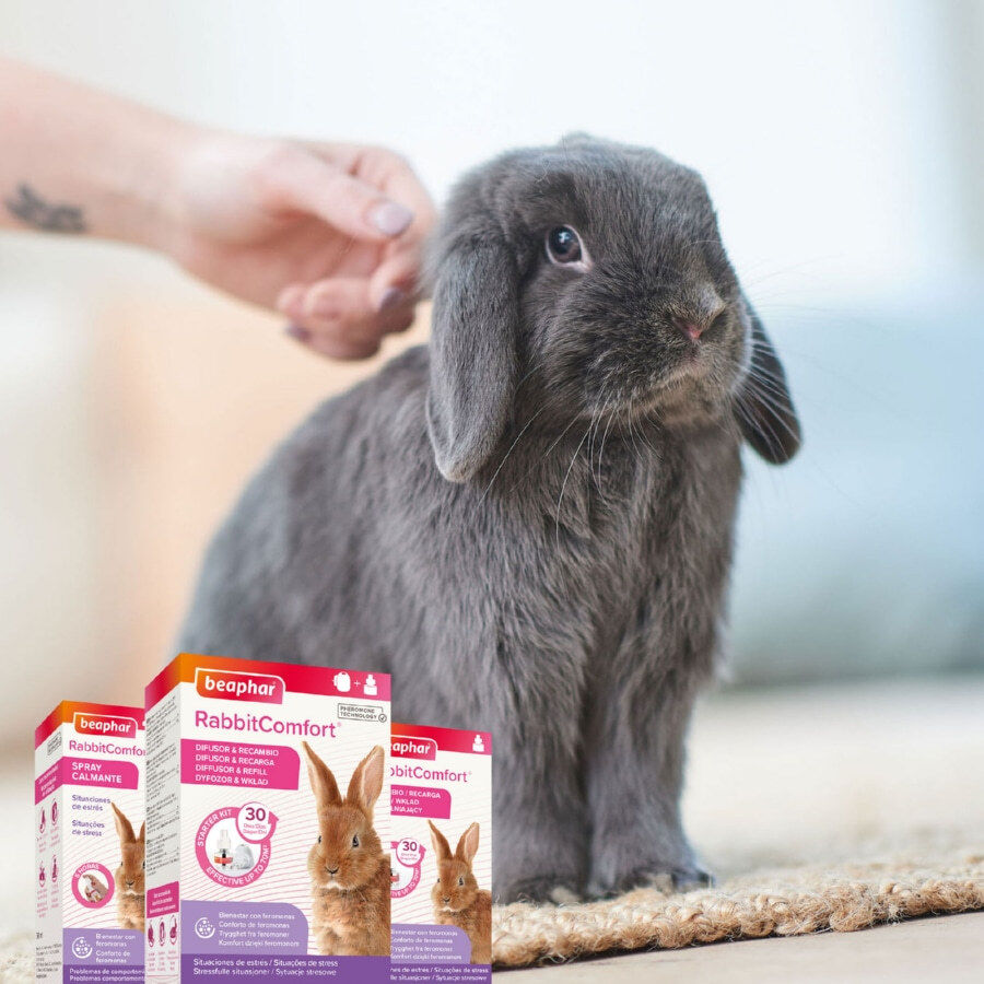 Beaphar RabbitComfort Spray Tranquilizante para conejos, , large Imagen numero 7