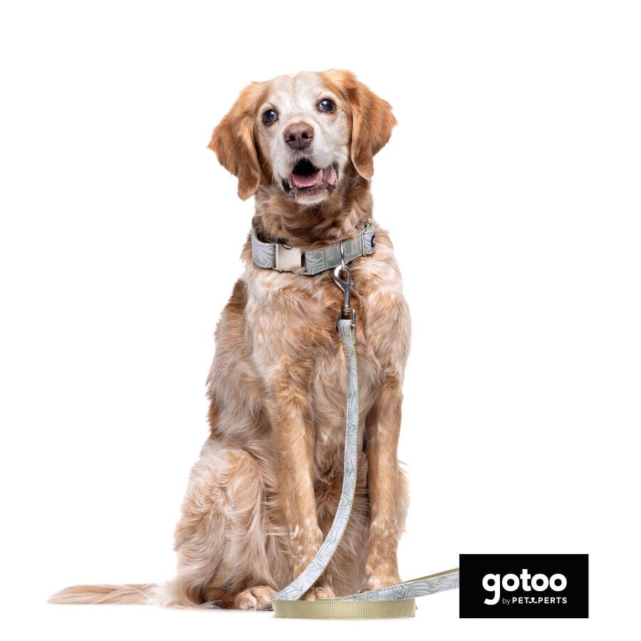 Collar estampado de hojas para perros, , large indicador imagen numero 4