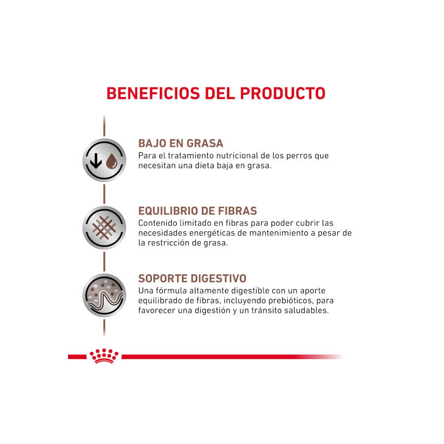8 kg Royal Canin GastroIntestinal Low Fat pienso para perros peque&ntilde;os, , large indicador imagen numero 4