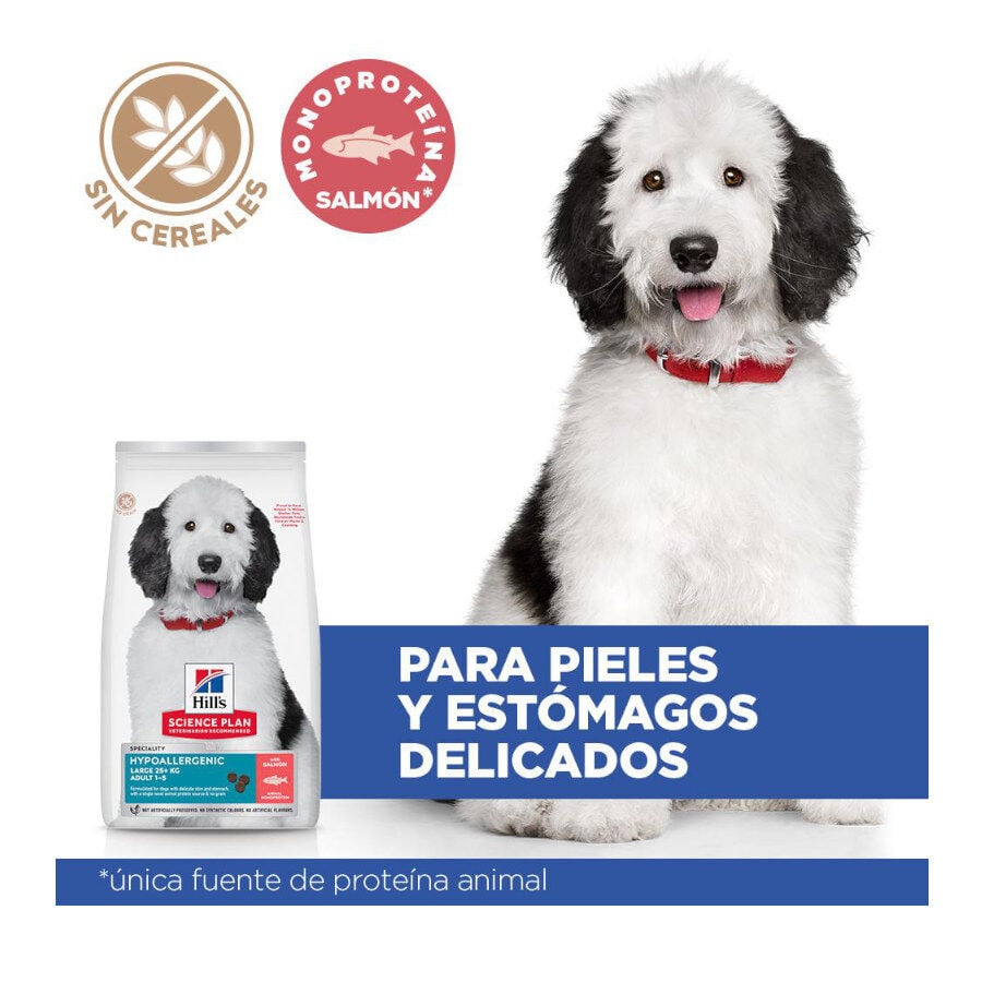 14 kg Hill's Science Plan Hipoalerg&eacute;nico Large Salm&oacute;n pienso para perros, , large Imagen numero 3