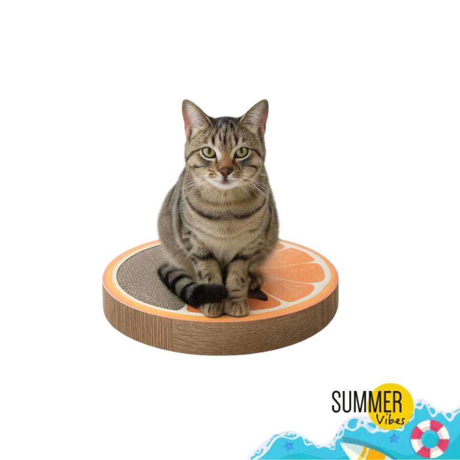 Summer Vibes Rascador Naranja Cart&oacute;n para gatos