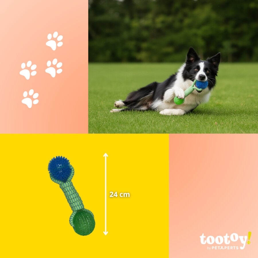 Tootoy! Mordedor de Cuerda con Pelotas de Goma para perros, , large indicador imagen numero 4