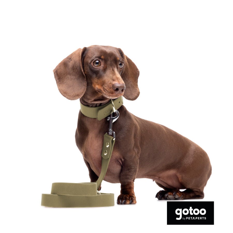 Gotoo Collar Biothane verde oliva para perros, , large Imagen numero 9