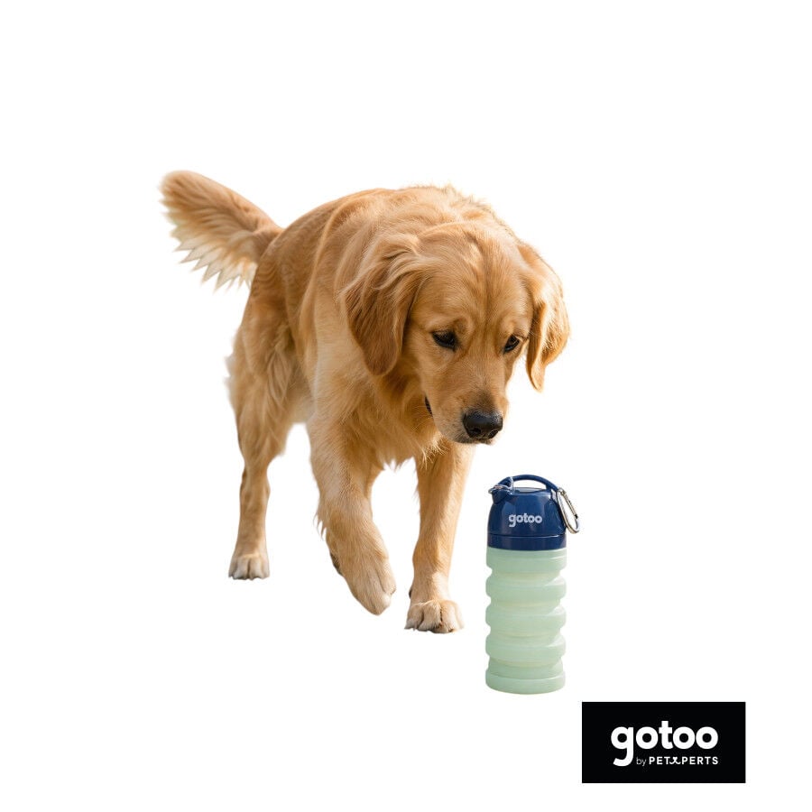 Gotoo Botella Bebedero Port&aacute;til de Silicona Azul y Verde para perros y gatos, , large indicador imagen numero 6