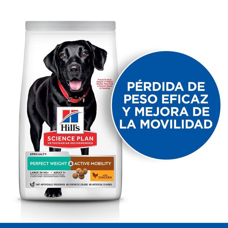 12 kg Hill's Science Plan Perfect weight y Active Mobility pollo pienso para perros grandes, , large indicador imagen numero 5