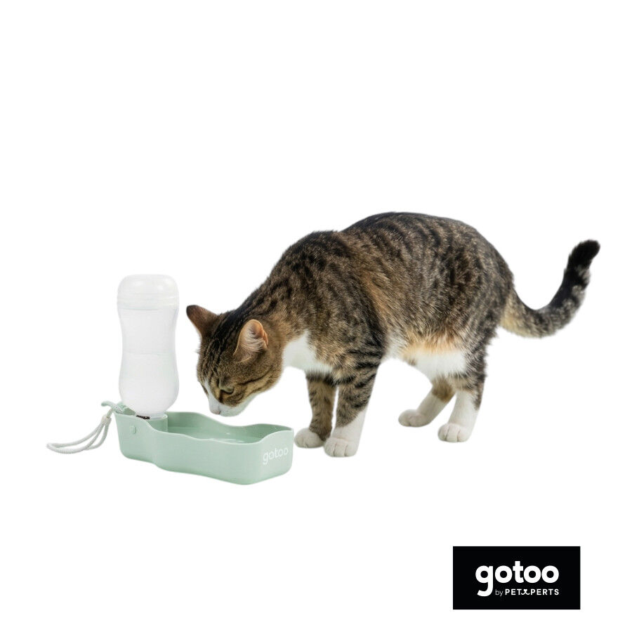 Gotoo Botella Bebedero Port&aacute;til de Pl&aacute;stico Verde para perros y gatos