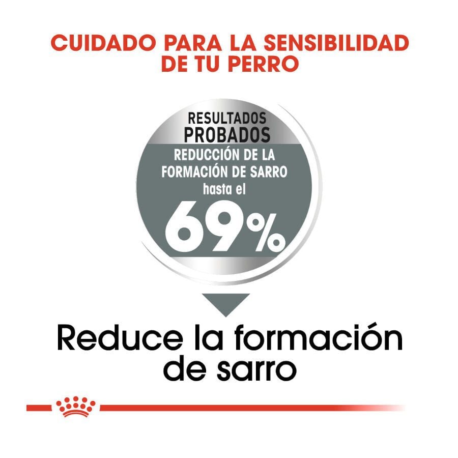 3 kg Royal Canin Dental Care Mini pienso para perros, , large indicador imagen numero 5