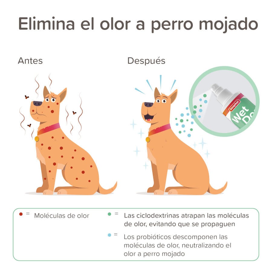 Beaphar Wet dog spray antiolor para perros, , large indicador imagen numero 4