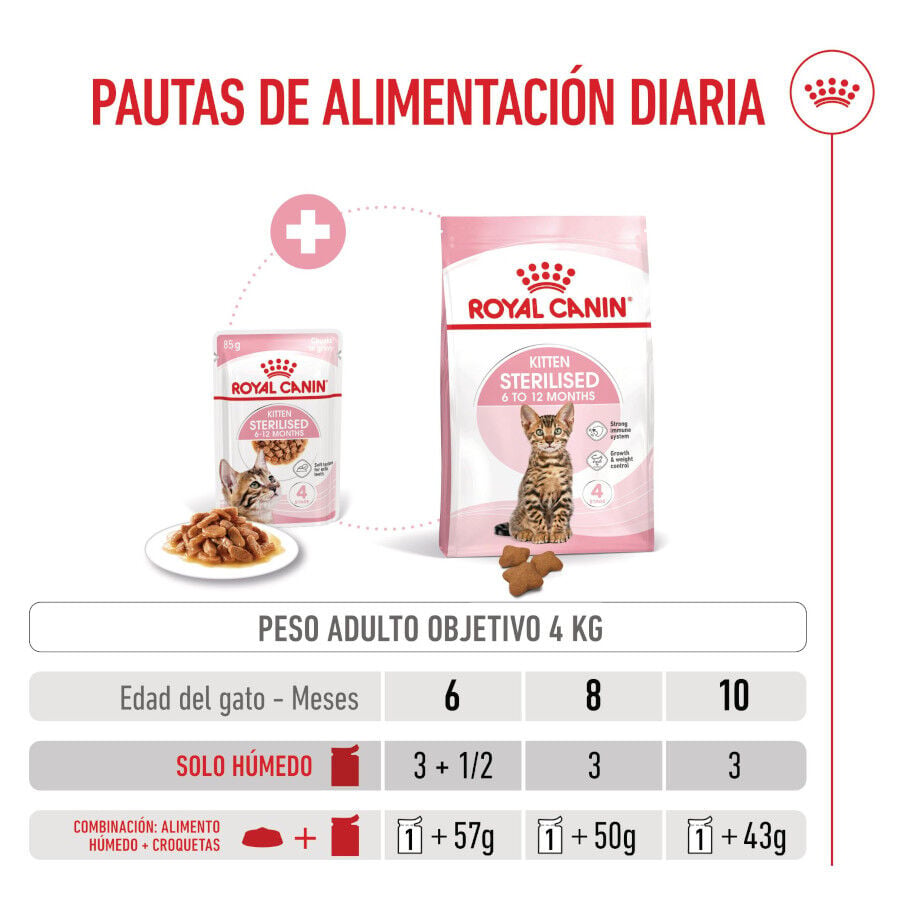 85 g Royal Canin Kitten Sterilised salsa sobre para gatos, , large indicador imagen numero 8