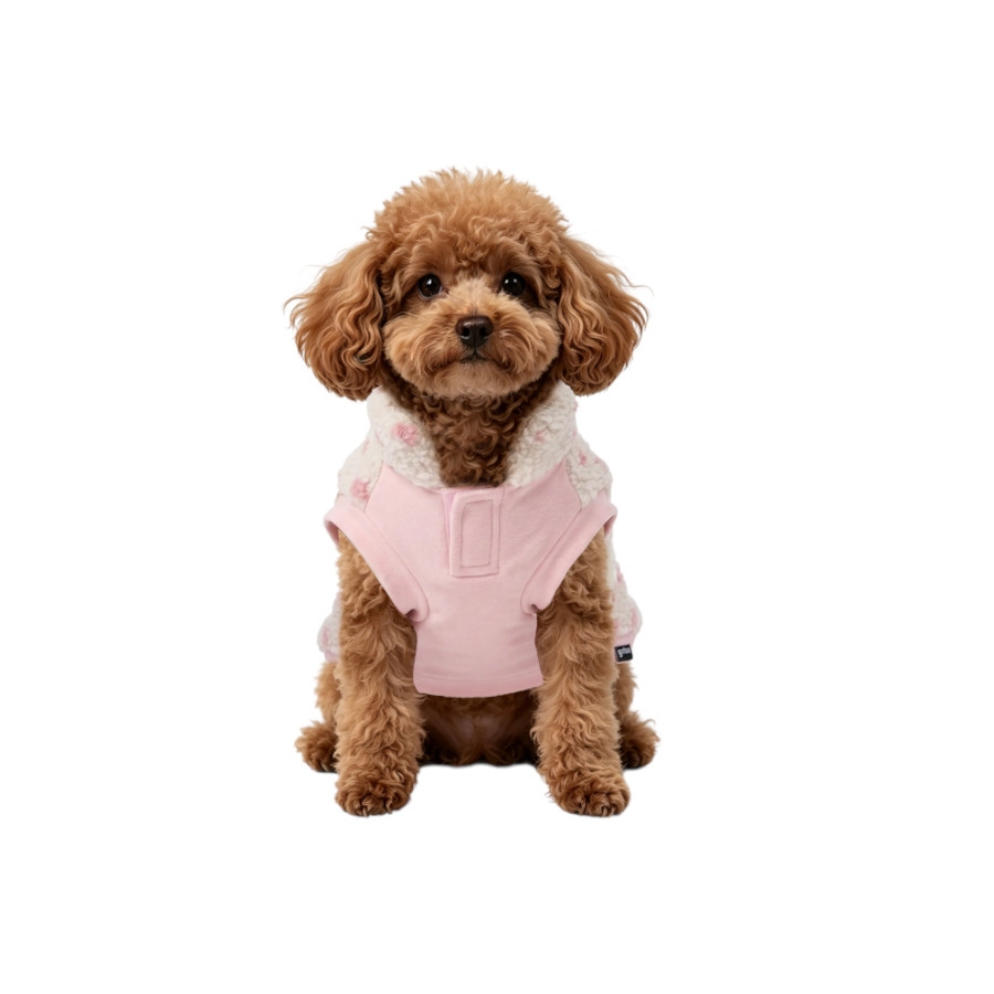 Gotoo Jersey Estampado Estrellas para perros, , large indicador imagen numero 7