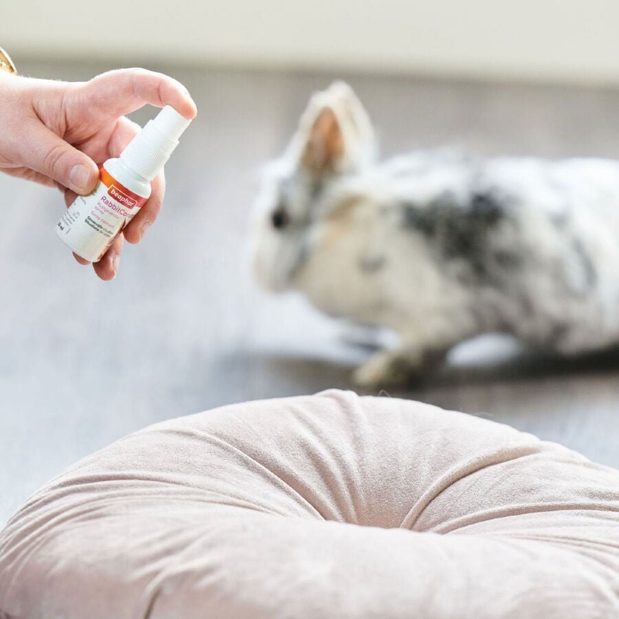 Beaphar RabbitComfort Spray Tranquilizante para conejos, , large indicador imagen numero 5