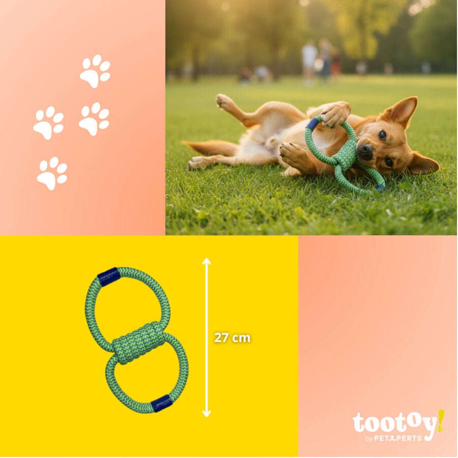 Tootoy! Mordedor de Cuerda Doble para perros, , large indicador imagen numero 4