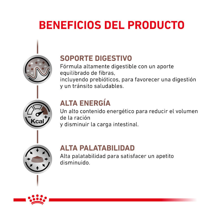 4 kg Royal Canin Veterinary Gastrointestinal pienso para gatos, , large indicador imagen numero 4