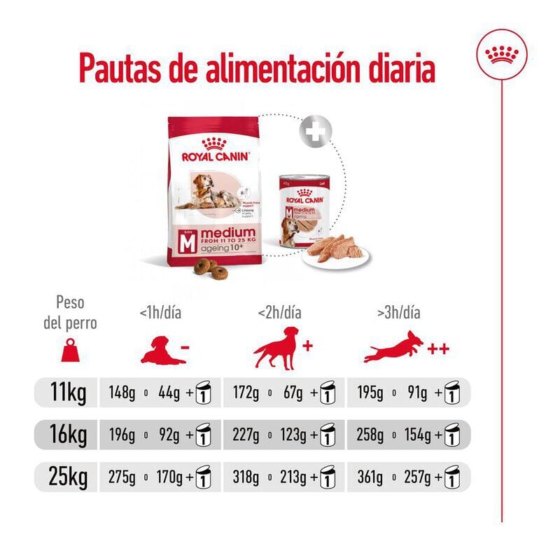 15 kg Royal Canin Medium 10+ Ageing pienso para perros&nbsp;senior, , large Imagen numero 11