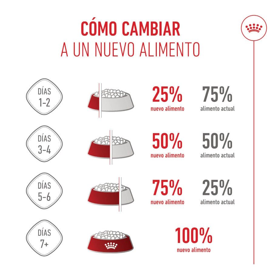 3.5 kg Royal Canin Kitten Sterilised pienso para gatos, , large indicador imagen numero 11