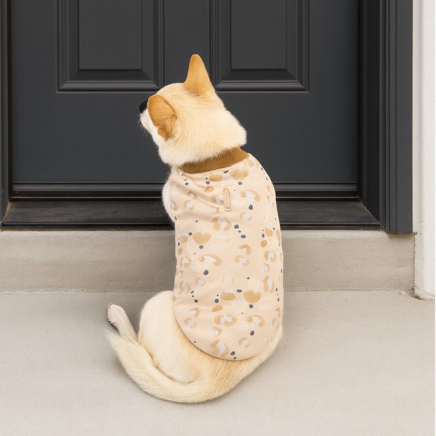 Outech Jersey Leopardo para perros