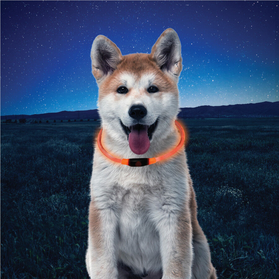 Nite Ize NiteHowl Collar de Seguridad Led Naranja para perros, , large indicador imagen numero 2