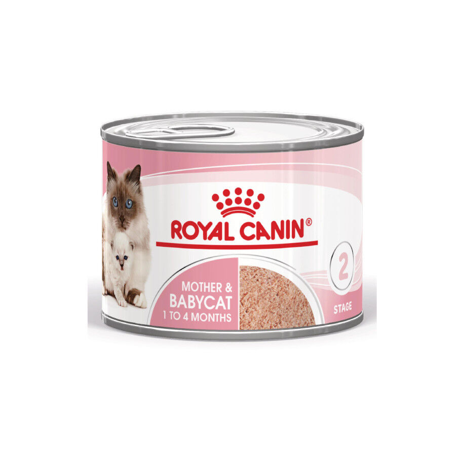 Royal Canin Mother & Baby mousse latas para gatos