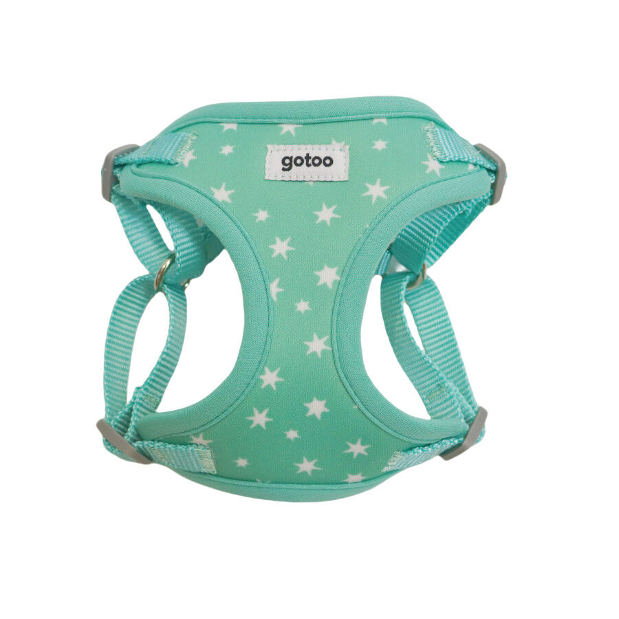 Gotoo Arn&eacute;s ajustable estampado estrellas verde para cachorros, , large indicador imagen numero 1