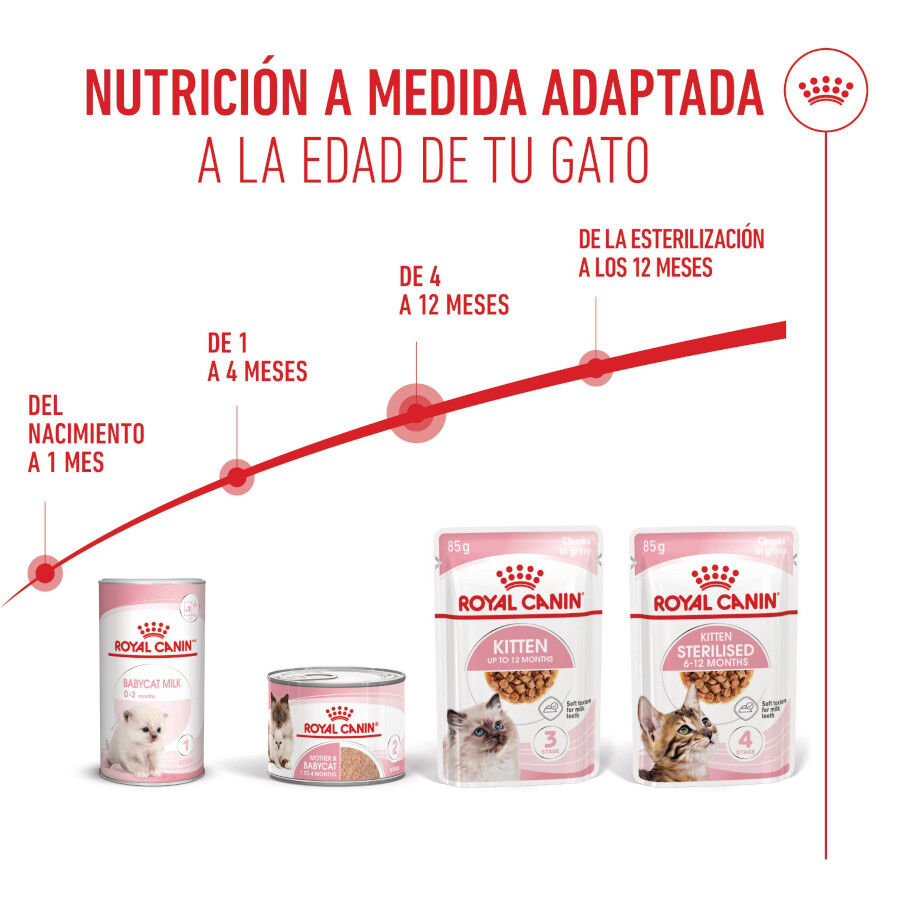 85 g Royal Canin Kitten sobre en salsa para gatos, , large Imagen numero 6