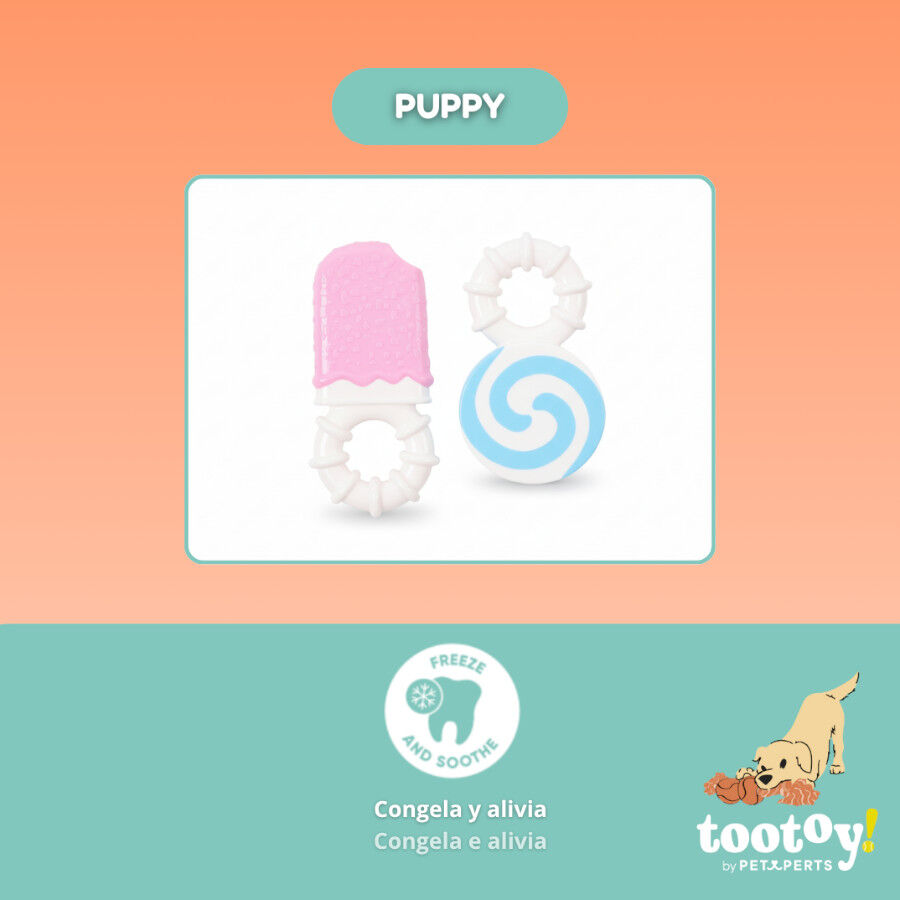 Tootoy! Pack de Mordedores Frios para cachorros, , large Imagen numero 5
