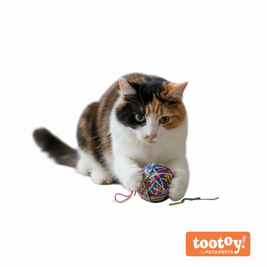 Tootoy! Ovillo de Lana Colorido para gatos