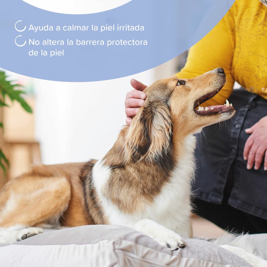 Beaphar Champ&uacute; Calmante para perros y gatos, , large indicador imagen numero 4