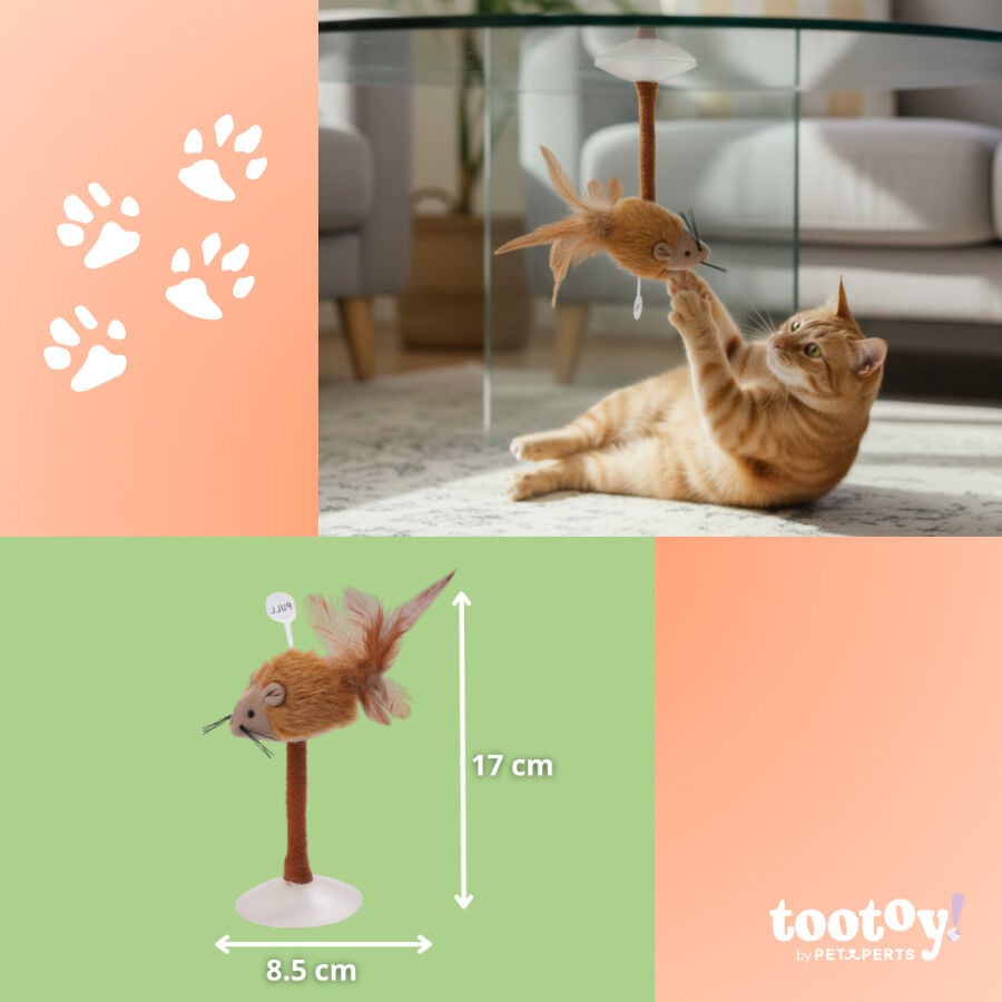 Tootoy! Juguete Interactivo Rat&oacute;n con Ventosa para gatos, , large indicador imagen numero 4