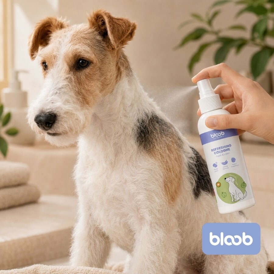 Bloob Colonia Refrescante Mel&oacute;n para perros, , large indicador imagen numero 2
