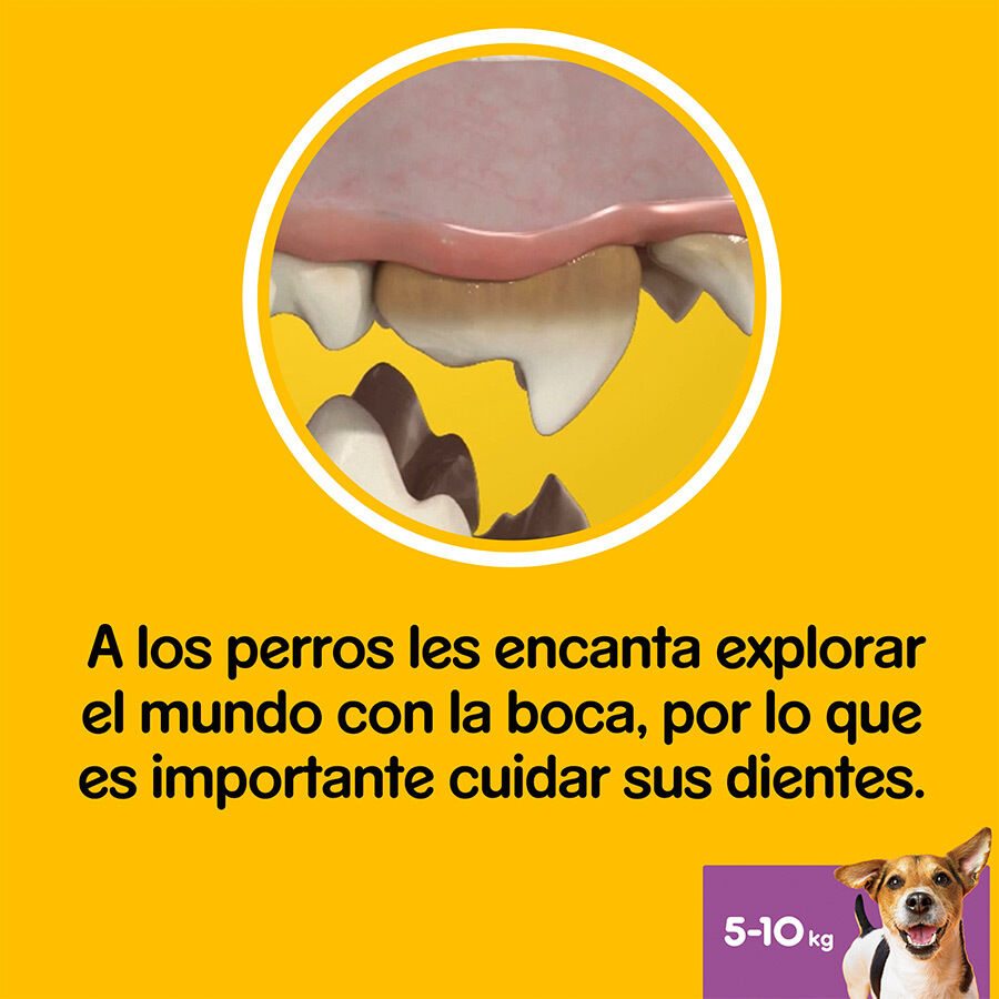 105 barritas Pedigree Dentastix Snacks Dentales para perros peque&ntilde;os, , large Imagen numero 5