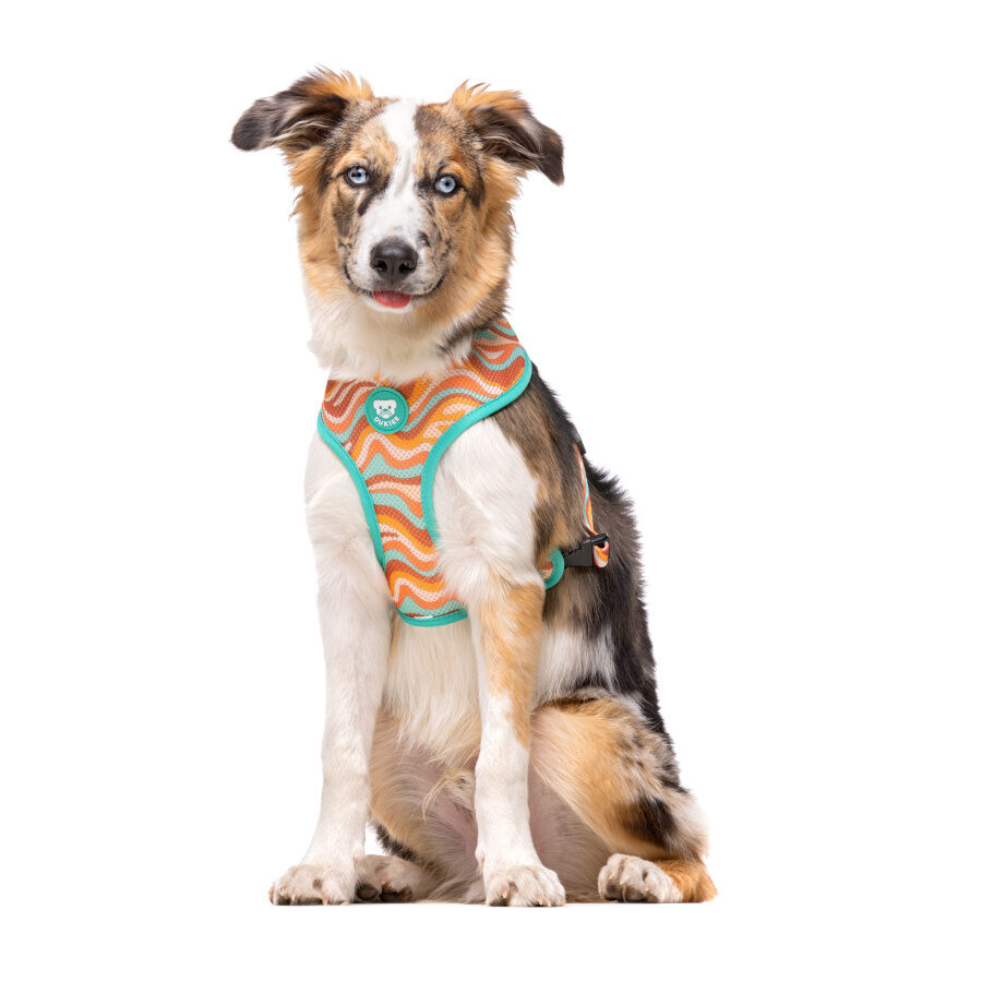 Dukier Peace Arn&eacute;s Reversible para perros, , large indicador imagen numero 2