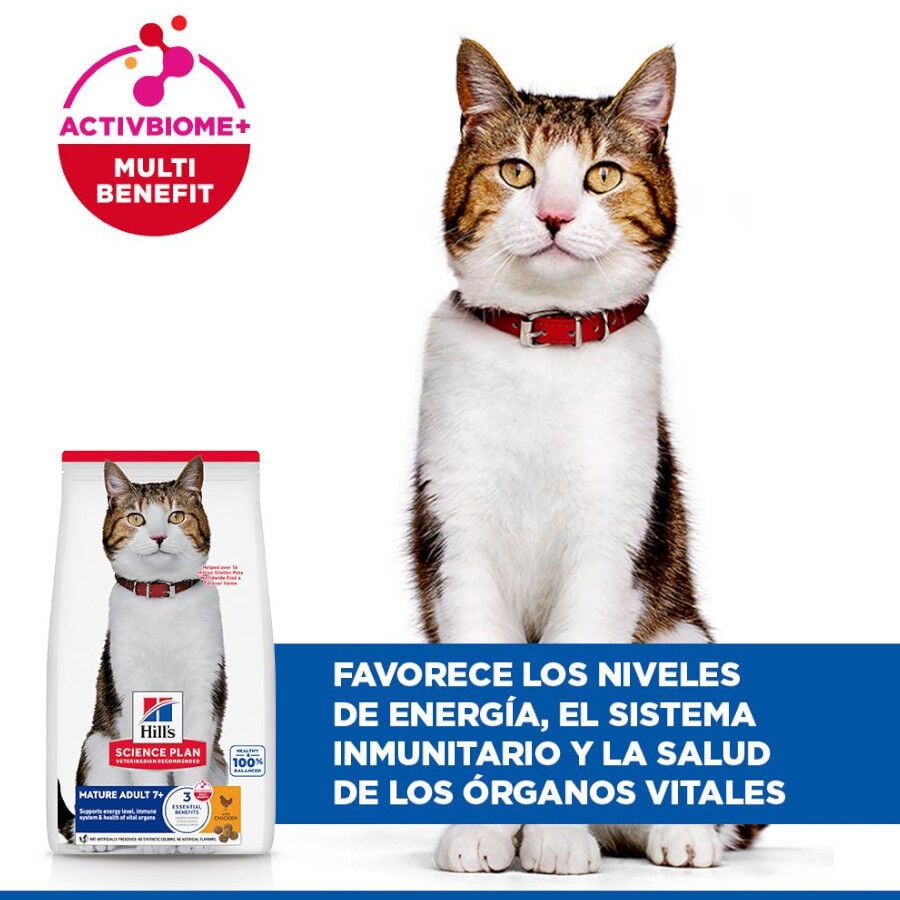 10 kg Hill's Science Plan Mature Adult 7+ Pollo pienso para gatos, , large Imagen numero 3