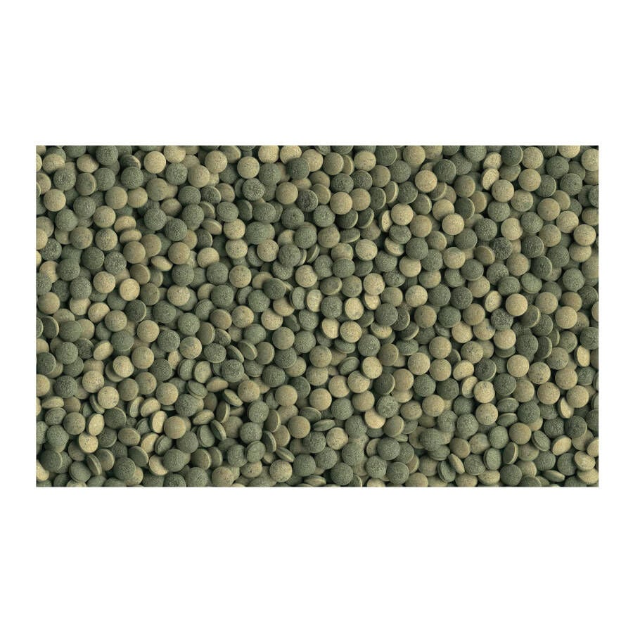 Tetra Pleco Tabletas, , large Imagen numero 2