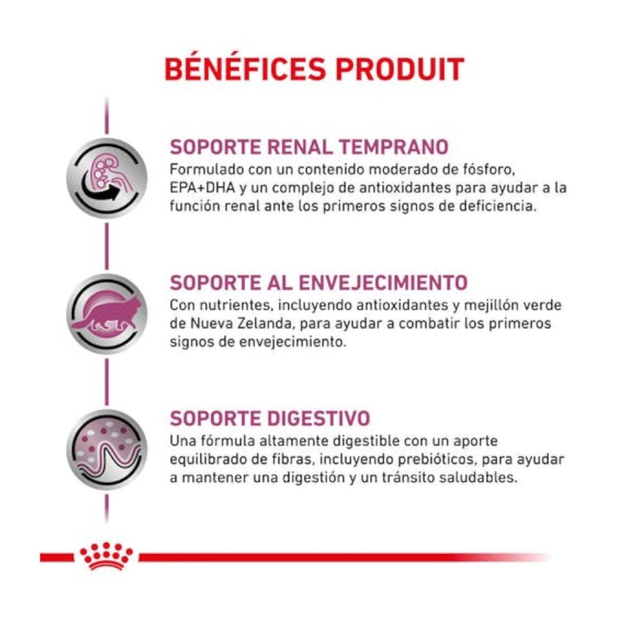6 kg Royal Canin Veterinary Early Renal pienso para gatos, , large Imagen numero 6