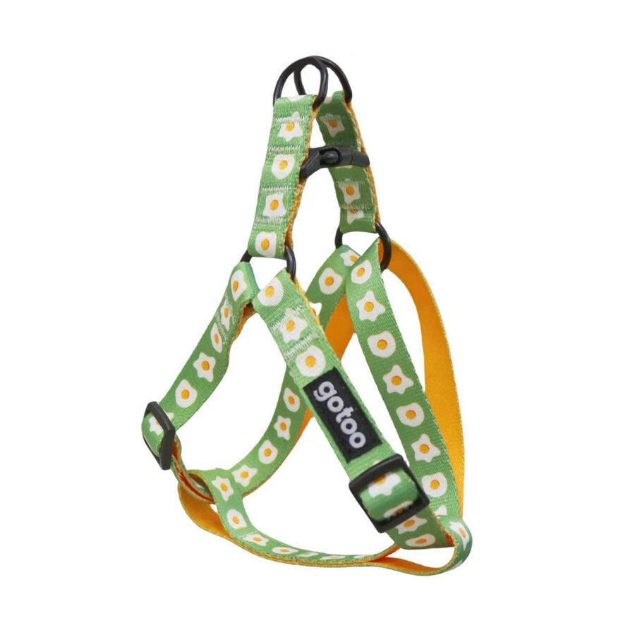 Gotoo  Arn&eacute;s estampado verde para perro, , large indicador imagen numero 1
