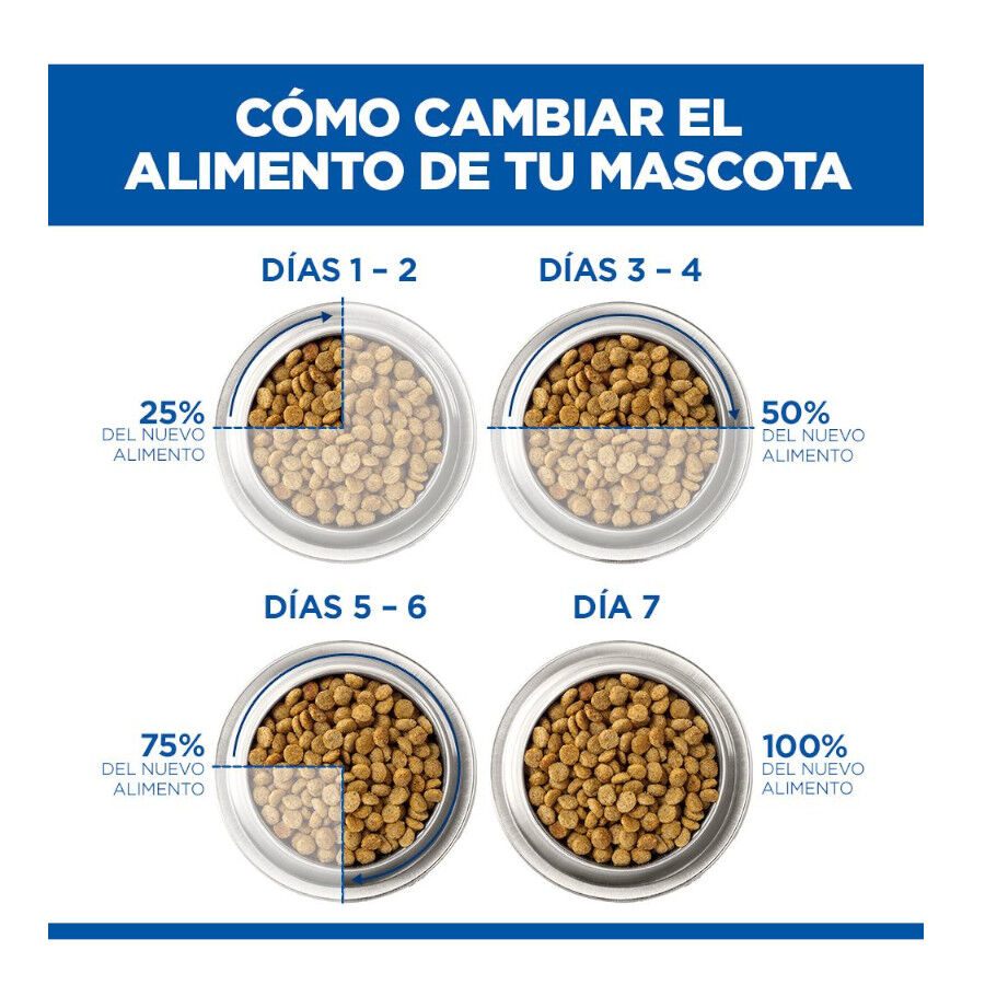 10 kg Hill's Science Plan Adult Pienso Salm&oacute;n para gatos, , large Imagen numero 12