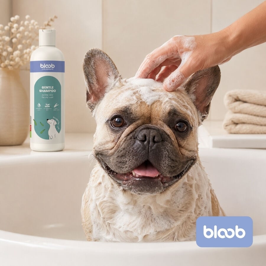 Bloob Champ&uacute; Piel Sensible Aloe Vera para perrros, , large indicador imagen numero 2